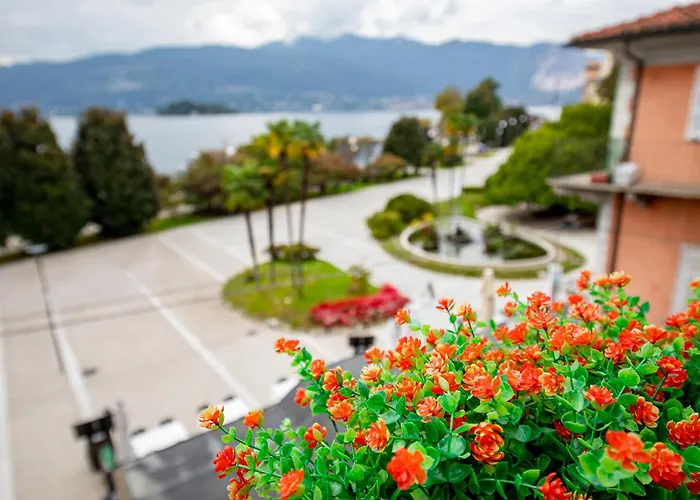 Novara فيربانيا