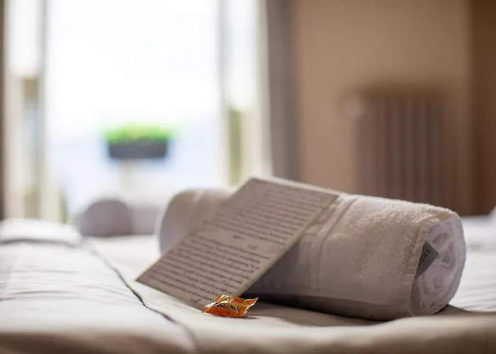 酒店 诺瓦拉酒店 3*