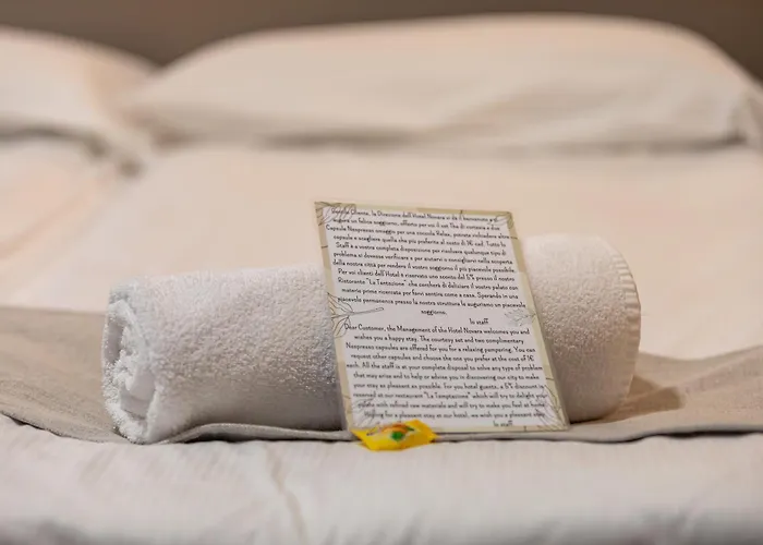 酒店 诺瓦拉酒店 韦尔巴尼亚